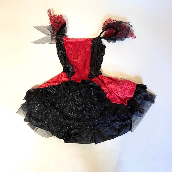 Girls Ladybug Costume Size Large (12/14) - Picture 9 of 11